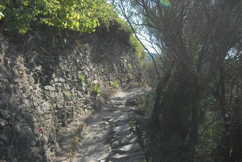 CORNIGLIA